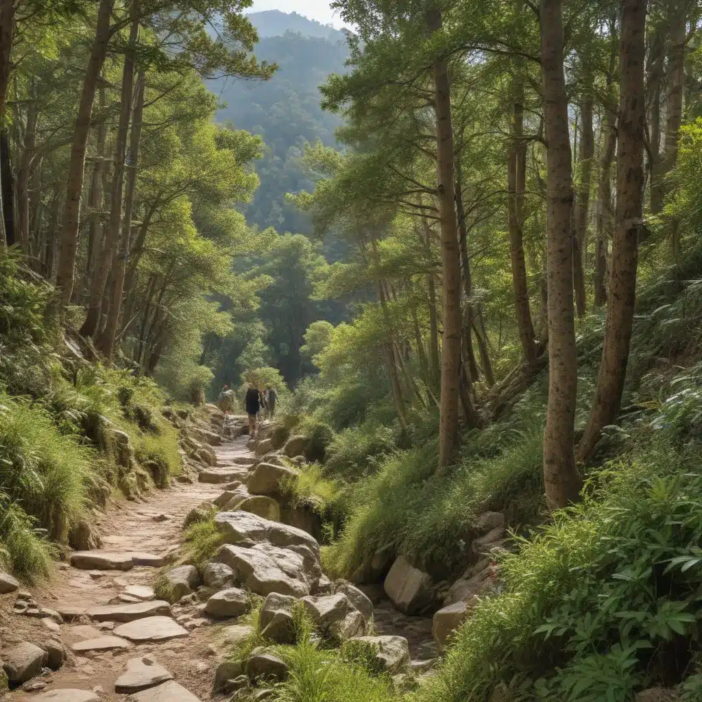 Baguios Best Hikes: Trekking Through Forests and Villages