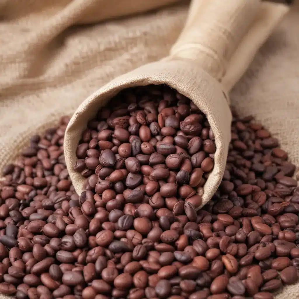 Bean to Brew: Following the Journey from Cacao to Chocolate