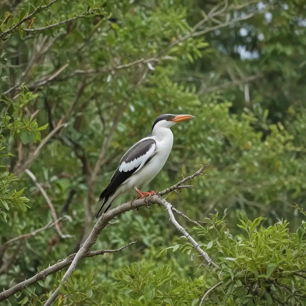 Birdwatching in Olango Island Wildlife Sanctuary