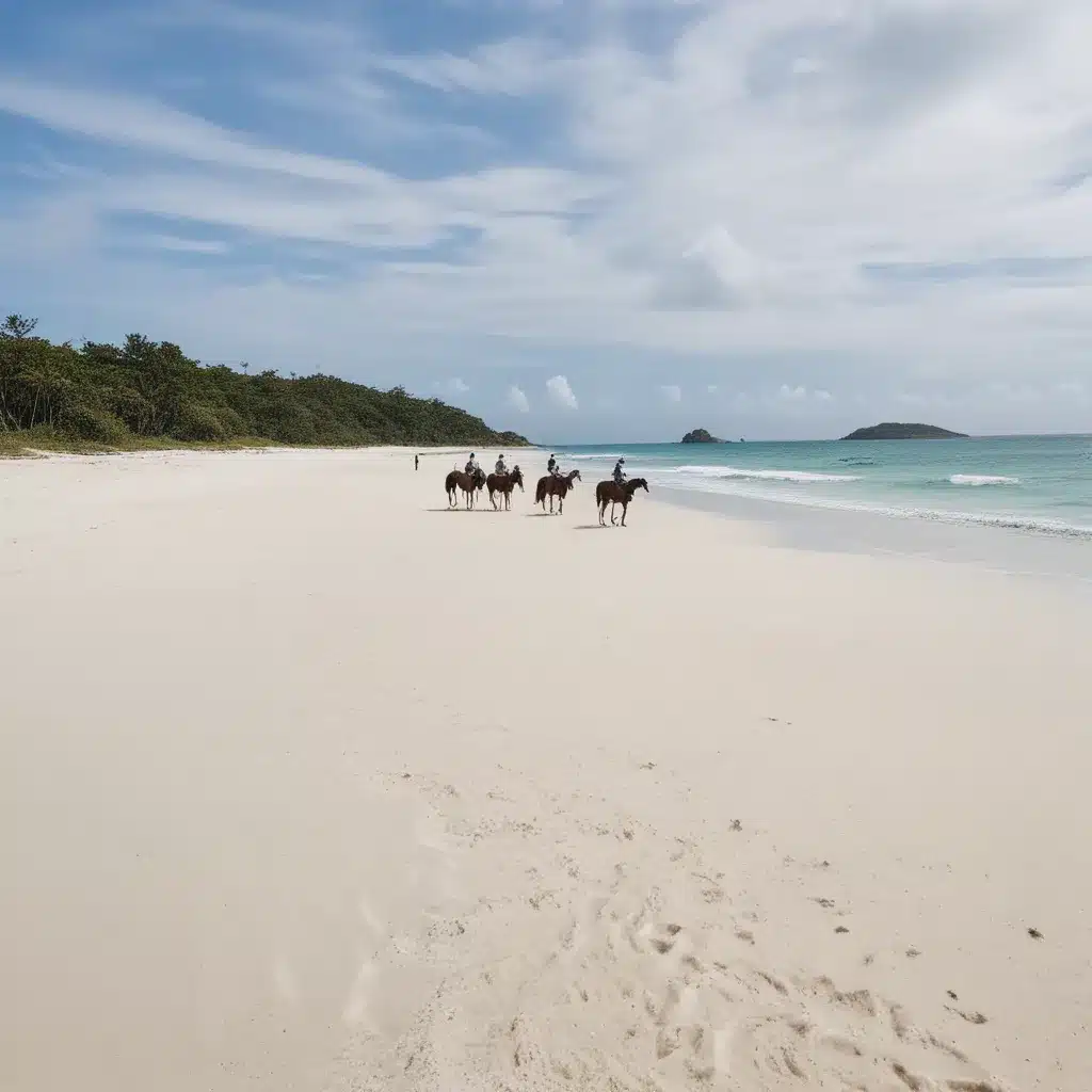 Horseback Ride Along White Sand Beaches On Calaguas Island