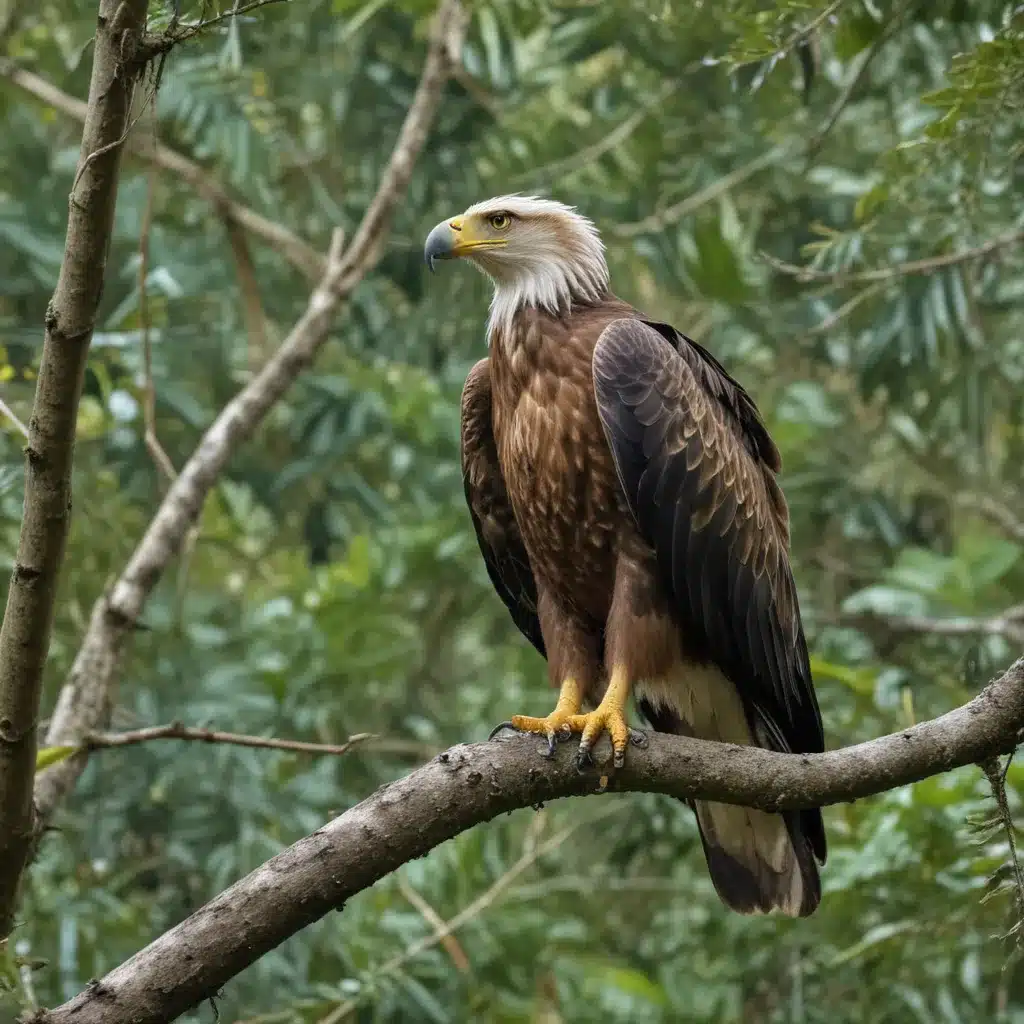See the Rare Philippines Eagle on a Hike Through Mindanao